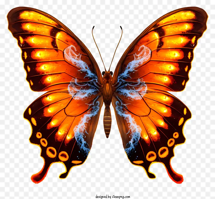 Papillon，Coloré PNG