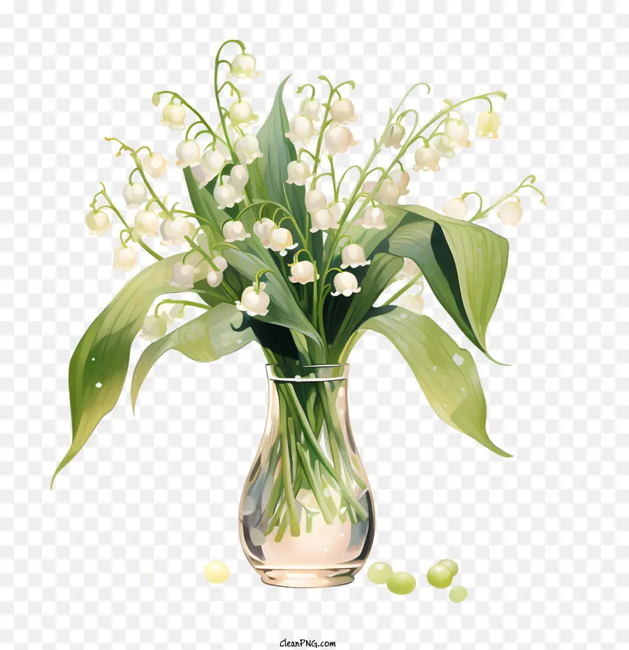 Muguet，Bouquet PNG