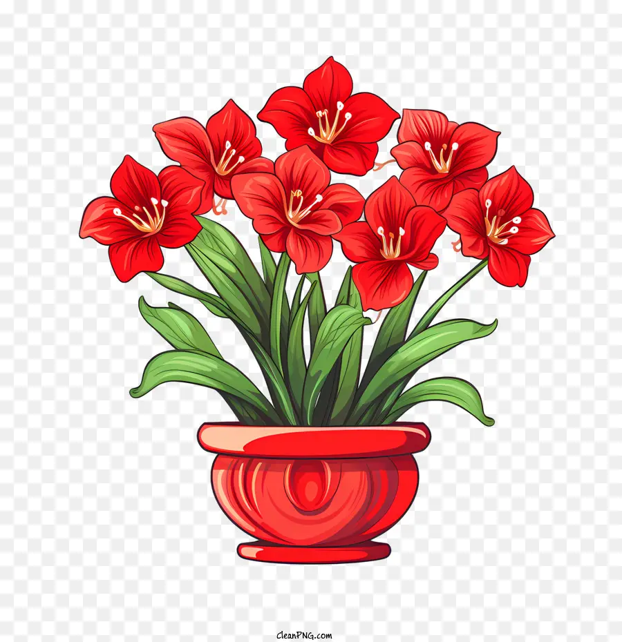 Fleur D'amaryllis，Fleurs Rouges PNG