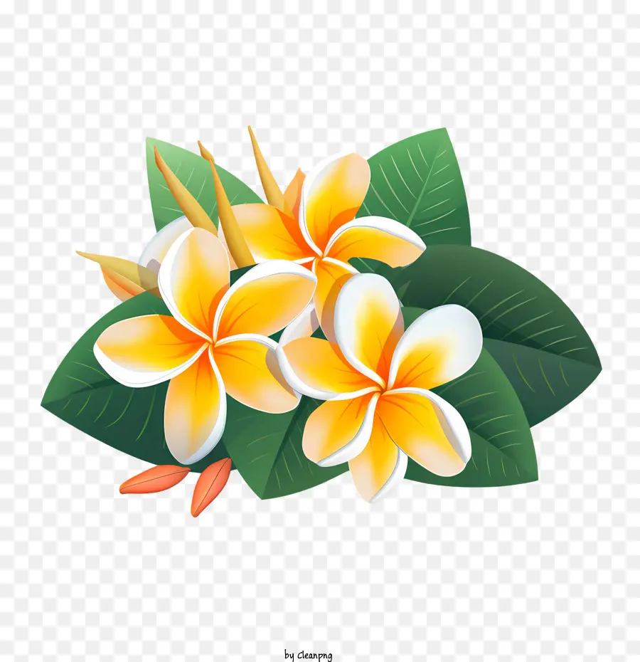 Fleur De Frangipanier，Fleurs Jaunes PNG