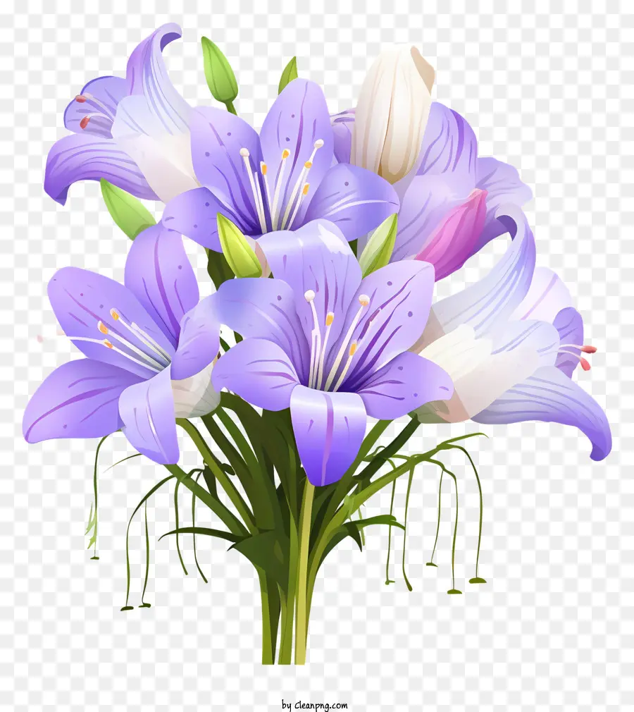Bouquet，Lys Violets PNG