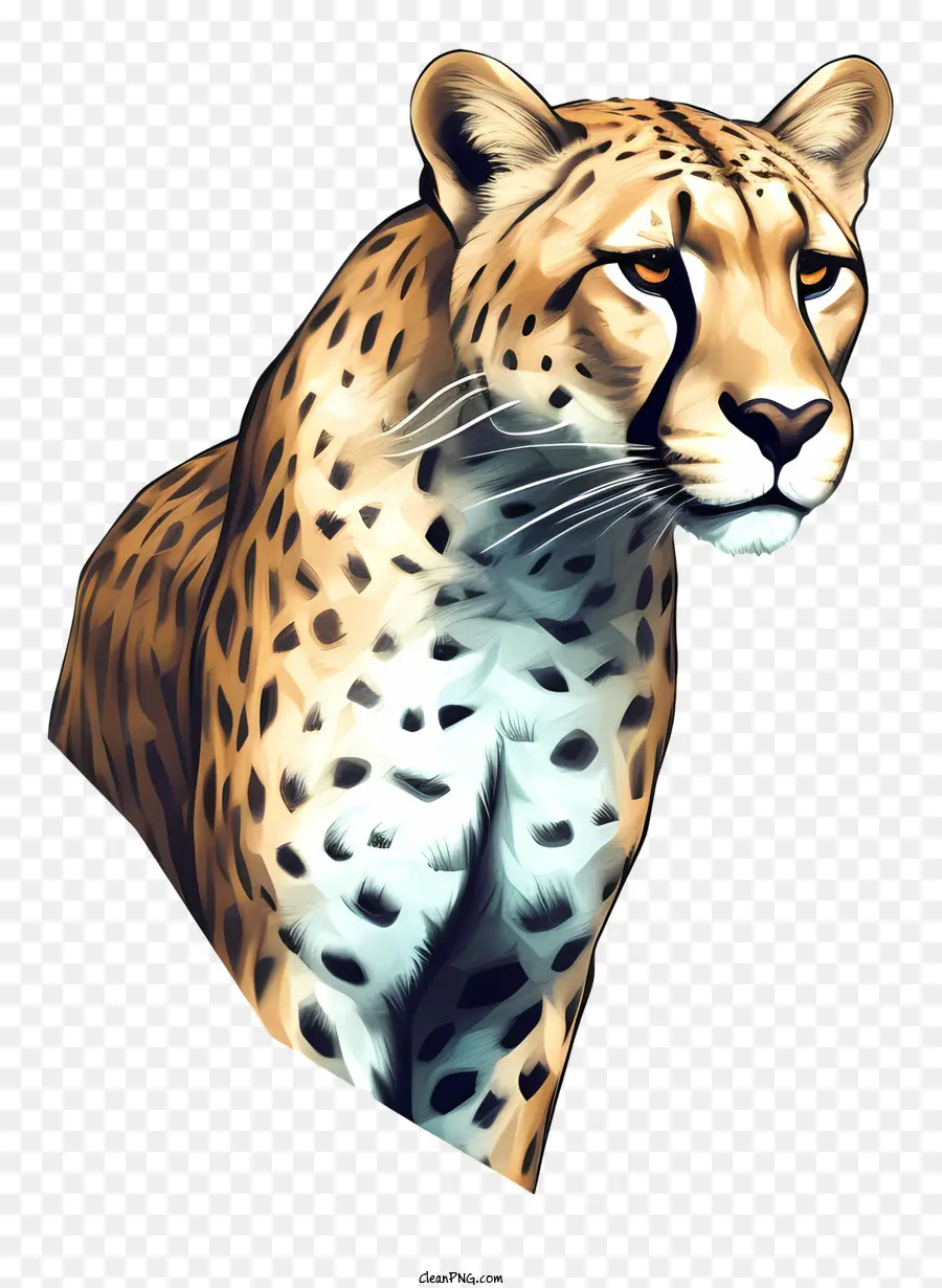 Léopard，Guépard PNG