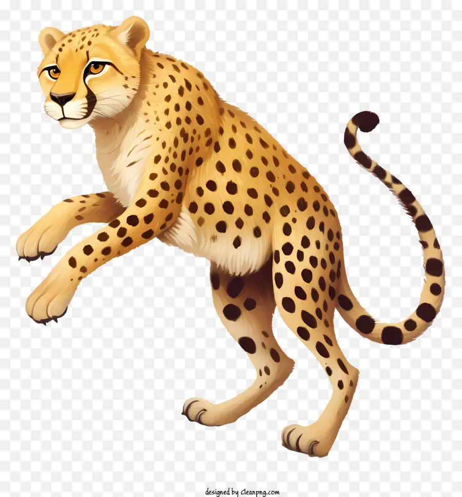 Leopard，Chat Sauvage PNG