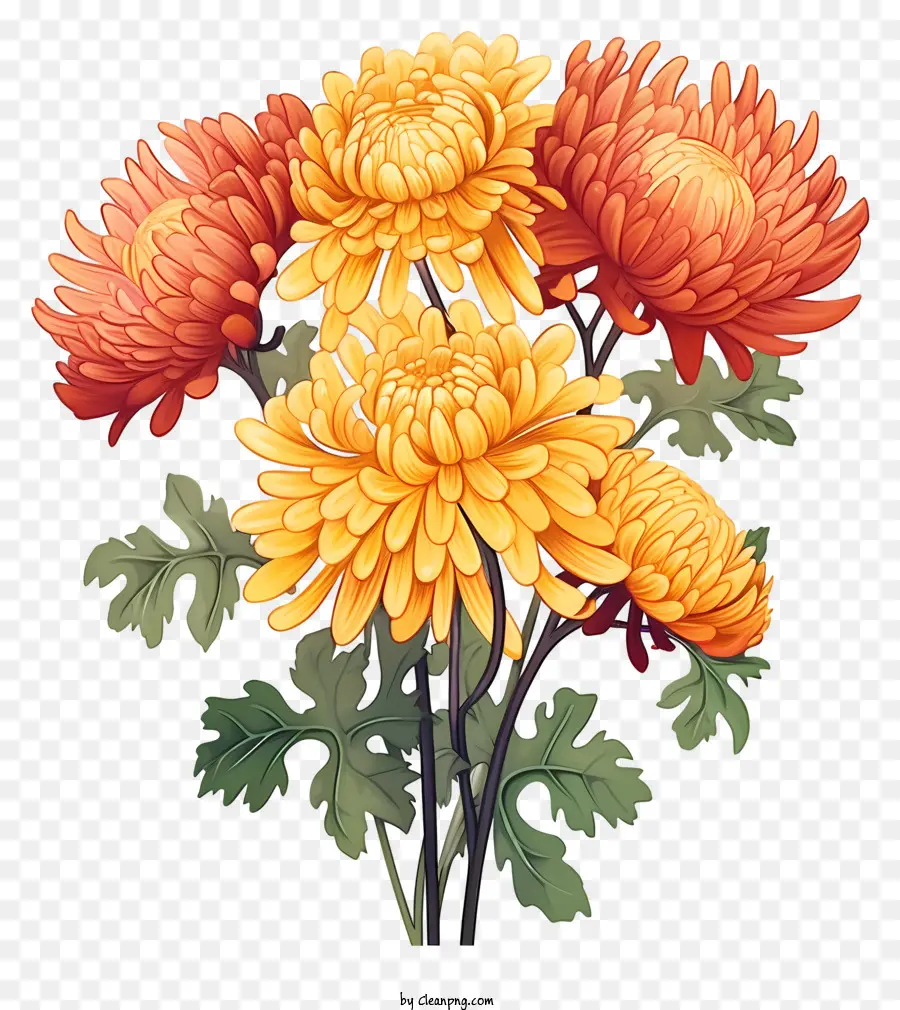 Les Chrysanthèmes，Fleurs Orange Et Jaune PNG