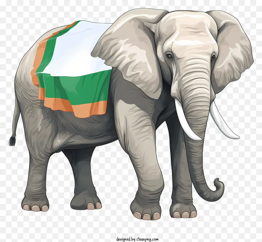 Grand éléphant，Éléphant PNG