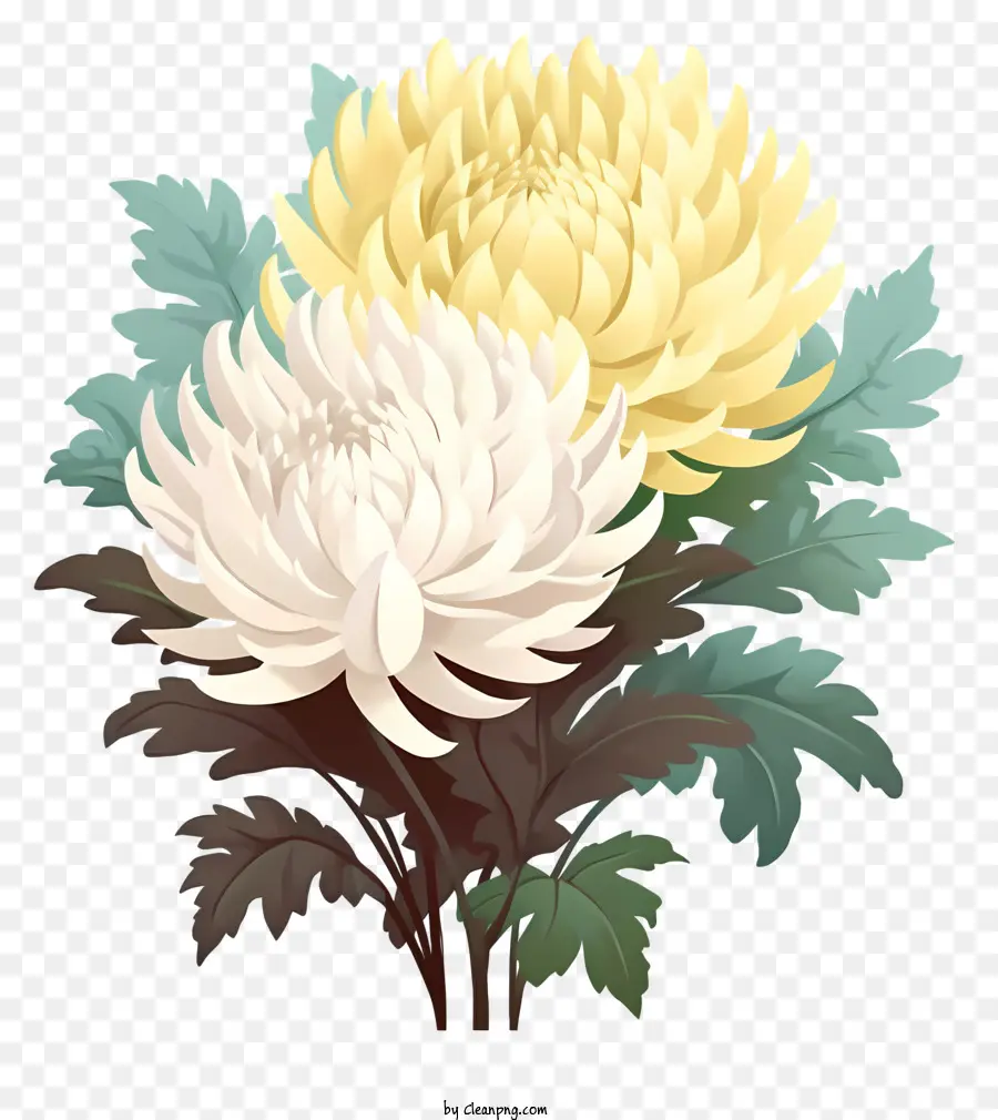 Bouquet De Fleurs，Chrysanthème PNG