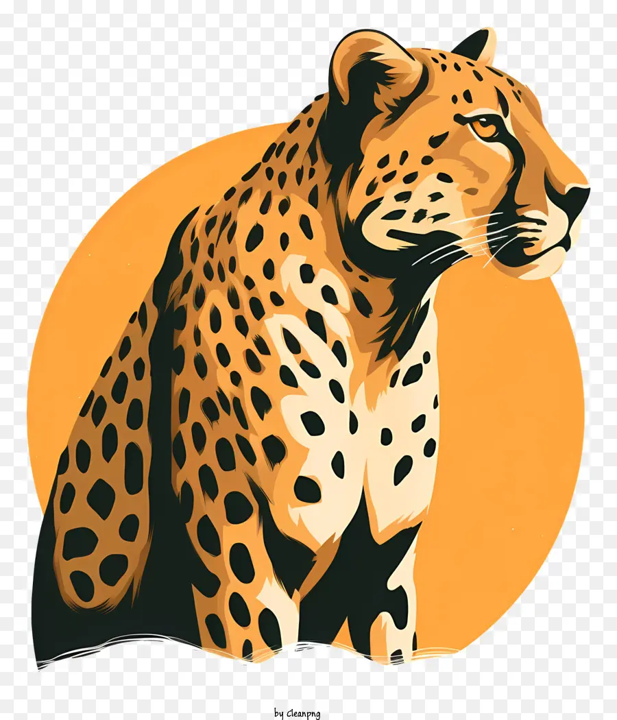 Leopard，Soleil PNG