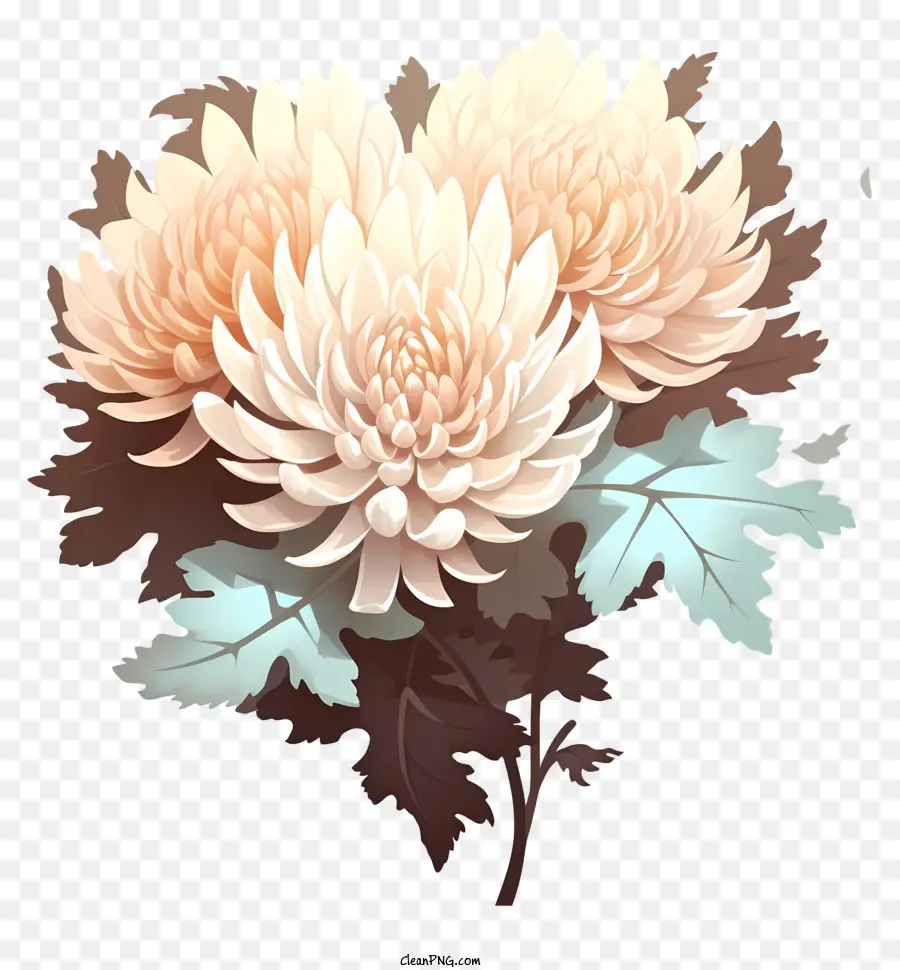 Chrysanthème，Fleurs PNG