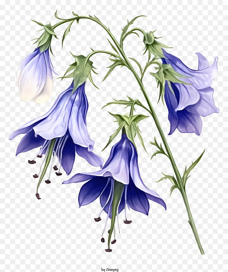 Fleur Bleue，Fleurs De Cloche Violettes PNG