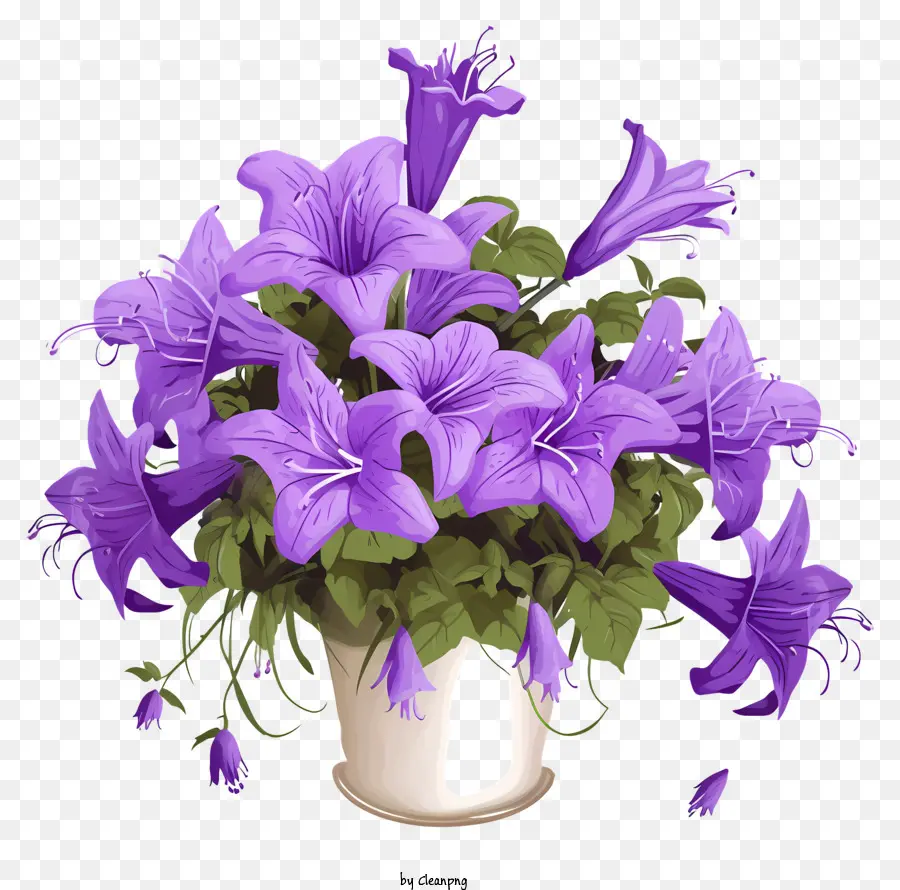 Fleurs Pourpres，Vases De Fleurs PNG