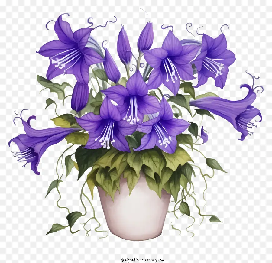 Vase，Fleurs Pourpres PNG