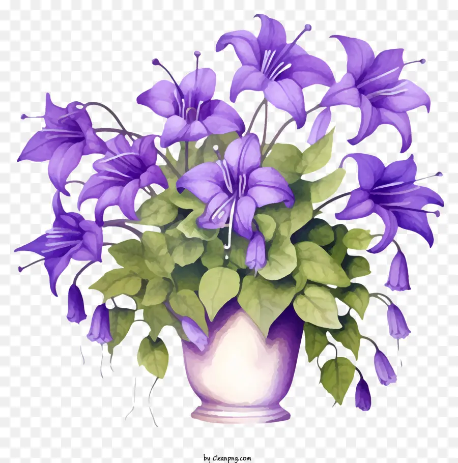 Fleurs Pourpres，Vase PNG