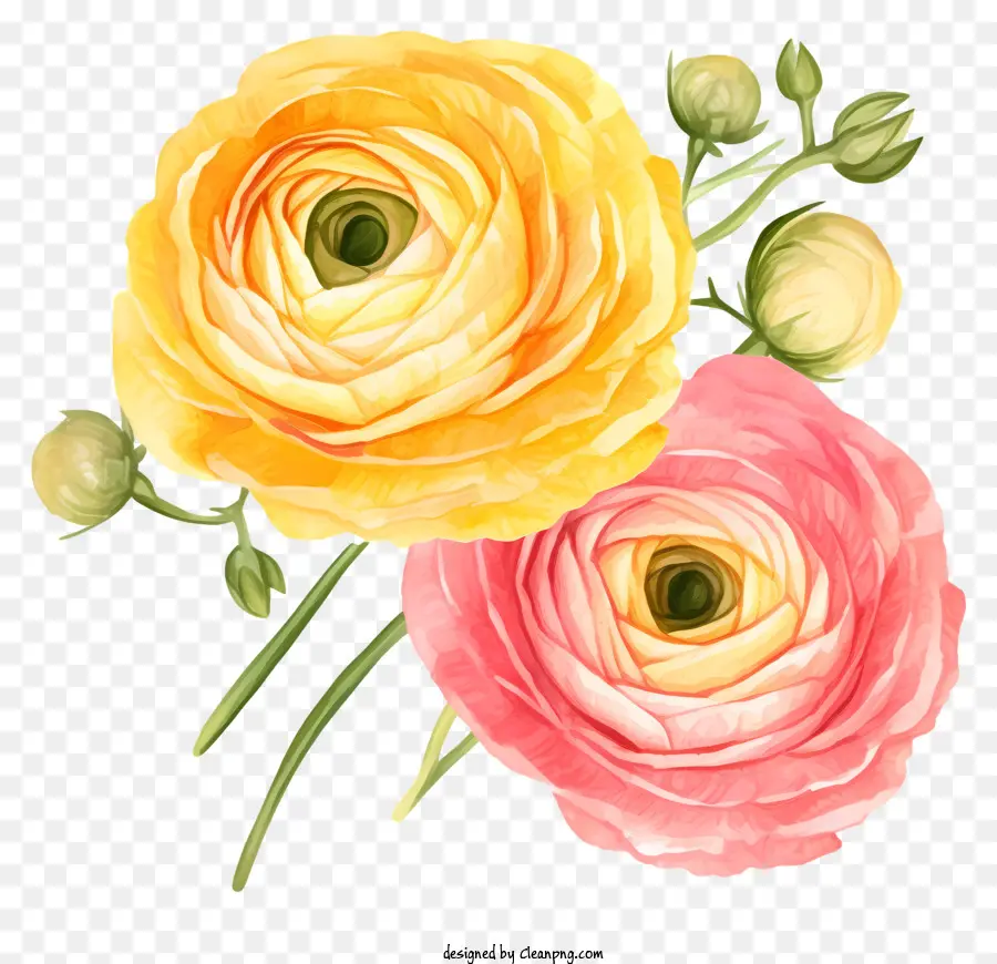 Roses Roses，Fleurs Jaunes Et Roses PNG