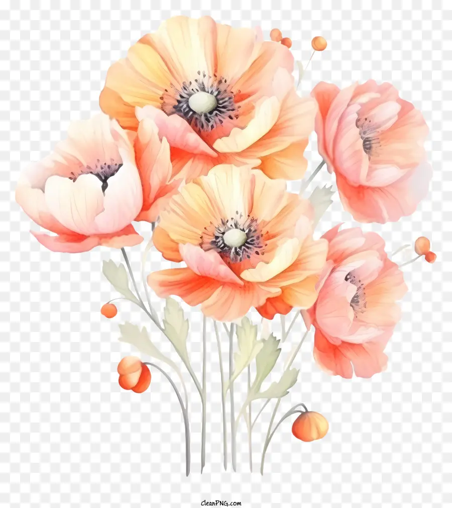 Fleurs Couleur Pêche，Fleurs Oranges PNG