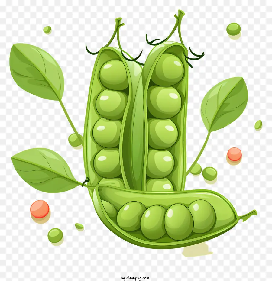 Petits Pois，Pois Verts PNG