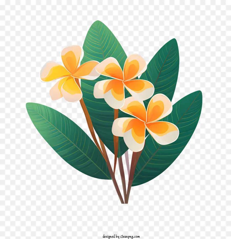 Fleur De Frangipanier，Fleurs Jaunes PNG