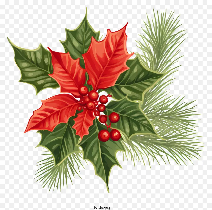 Holly De Noël，Feuille De Houx PNG