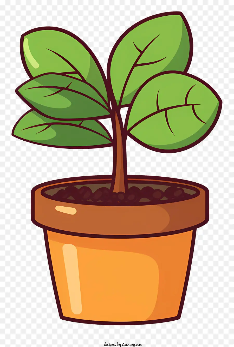 Plante En Pot，Feuille Verte PNG