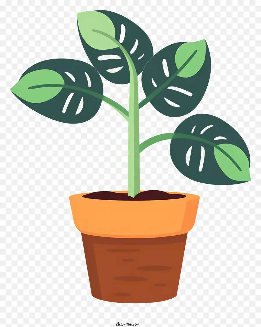 Pot De Fleurs，Plante Verte PNG