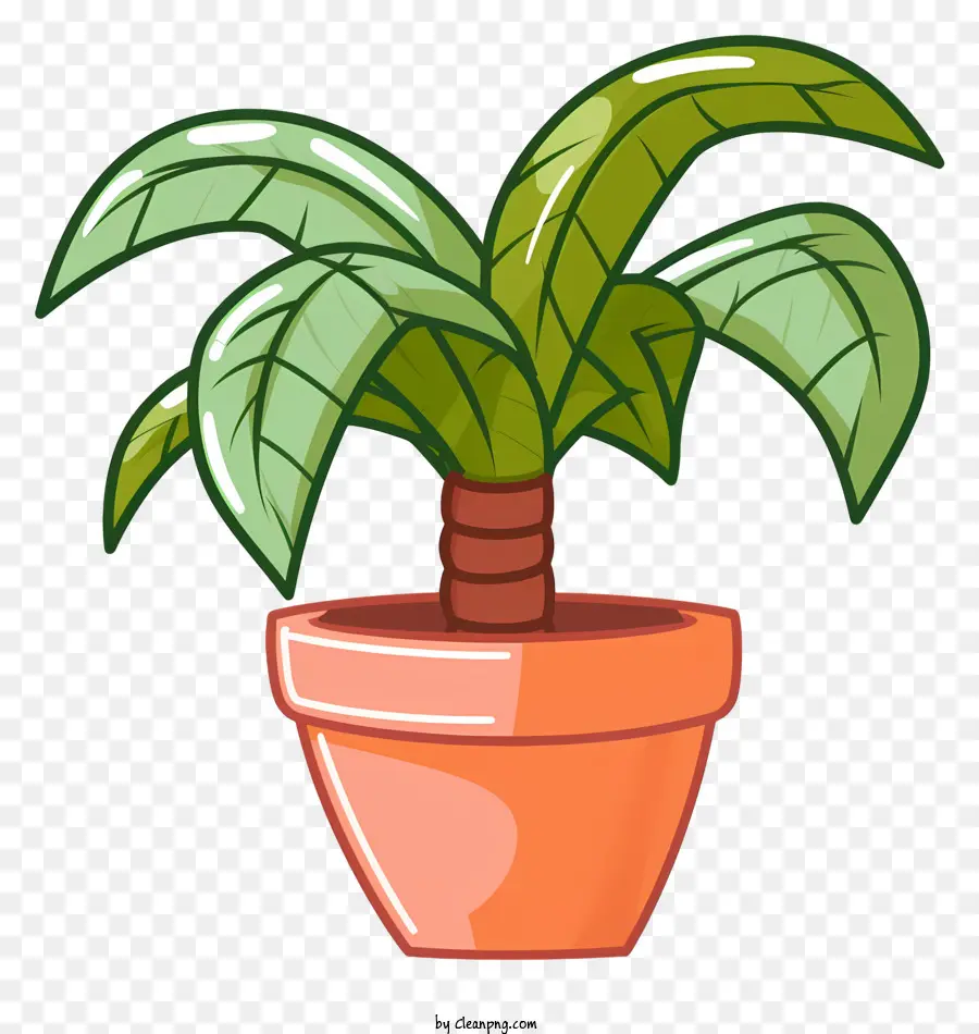 Plante En Pot，Usine PNG