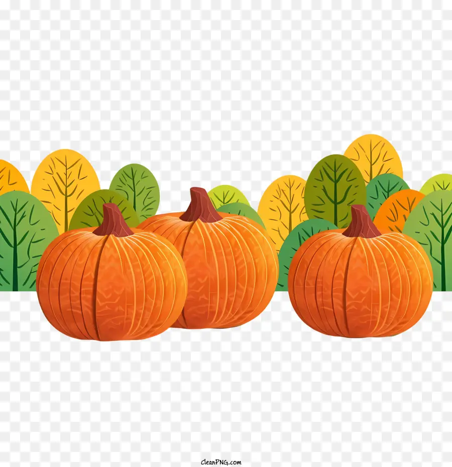 Automne Citrouille，Citrouilles PNG