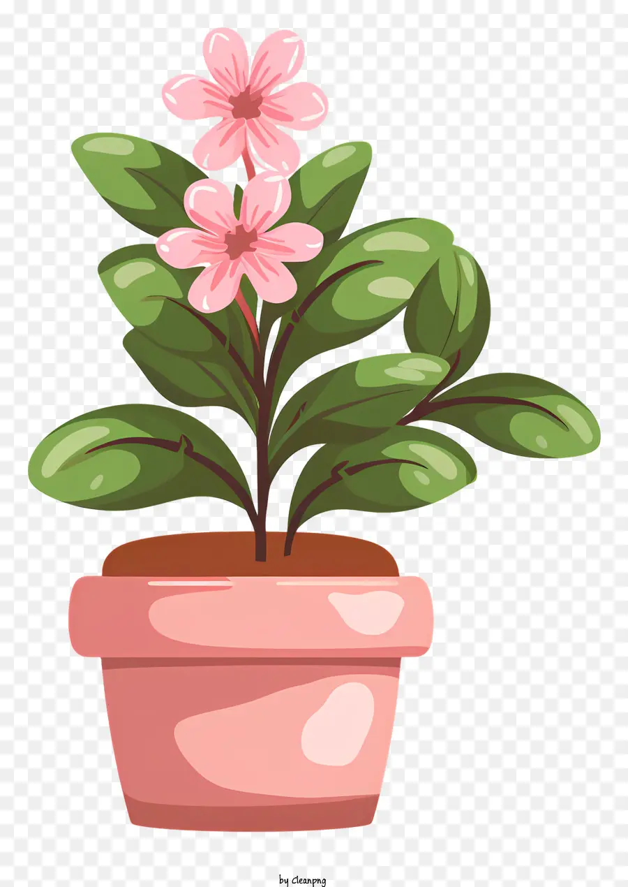 Plante En Pot，Fleurs Roses PNG