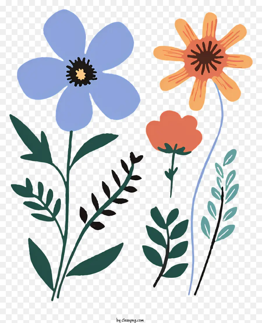 Fleurs，Fleurs Colorées PNG