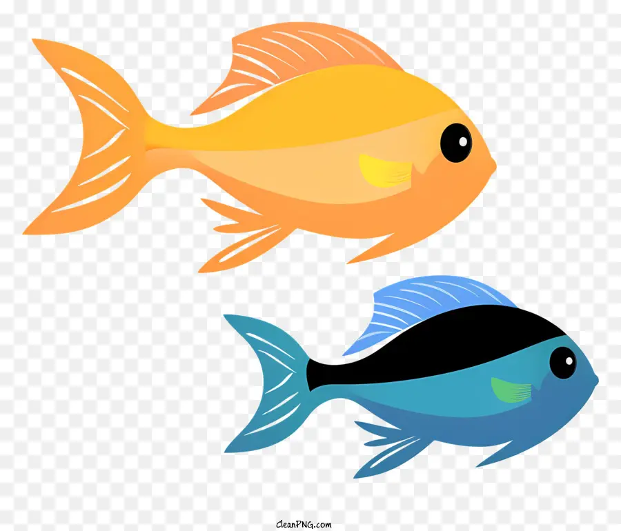 Les Poissons，La Natation PNG