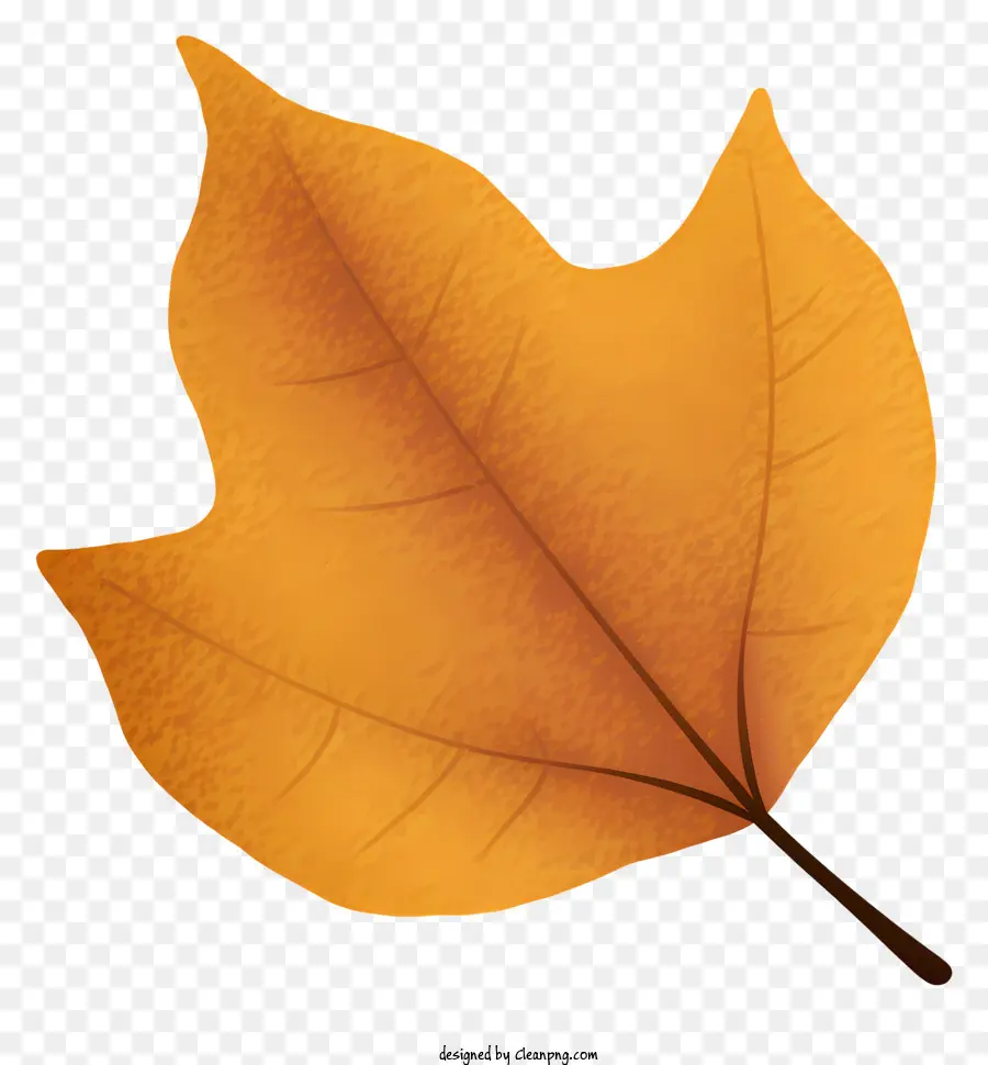 Feuilles D'oranger，Tige Brune PNG