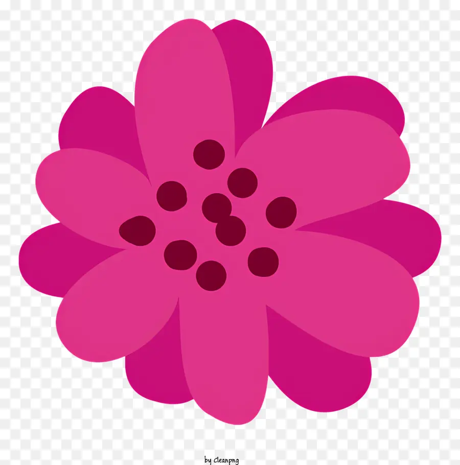 Fleur Rose，Design à Fleurs Plates PNG