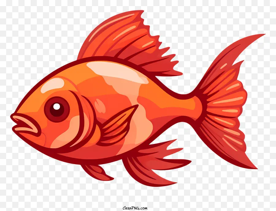 Orange Poisson，Des Taches Blanches PNG