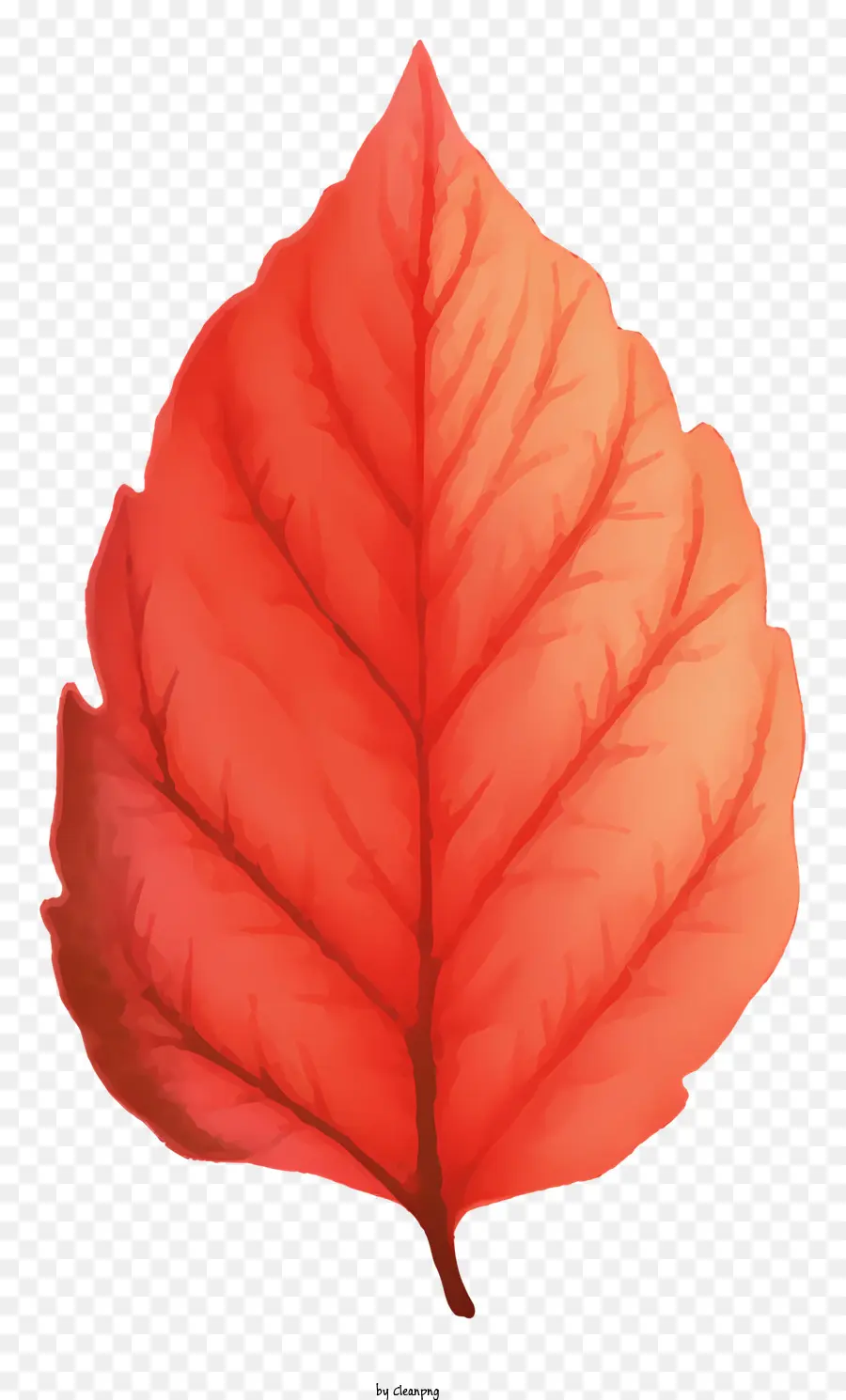 Peinture à L'aquarelle，Feuille Rouge PNG