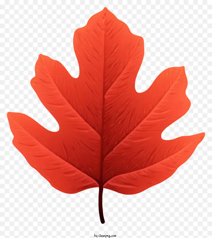 Feuille，Feuille D'automne PNG