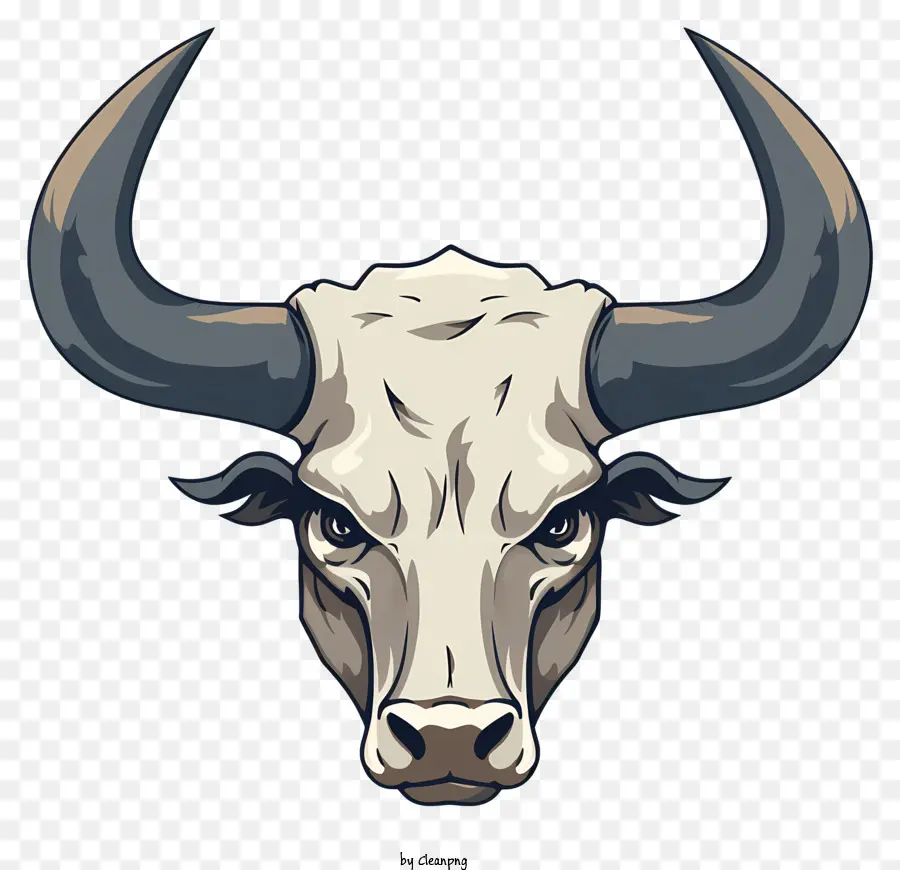 Bull Tête，Les Cornes PNG