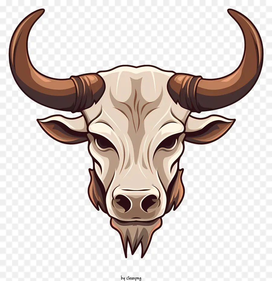 Bulls De La Tête，Les Cornes PNG