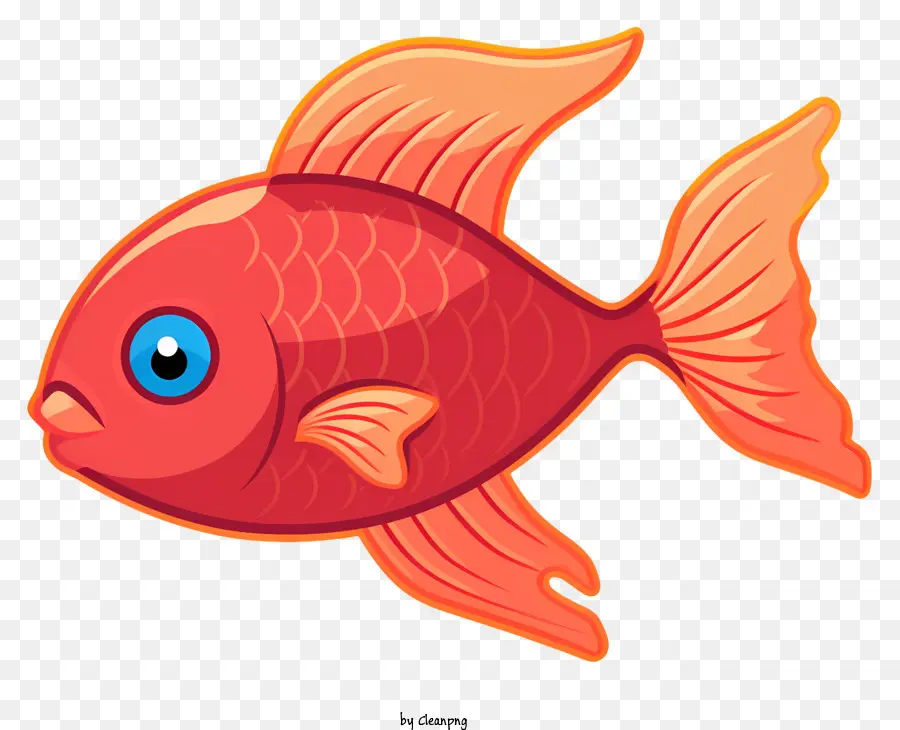 Poisson Rouge，Grands Yeux PNG