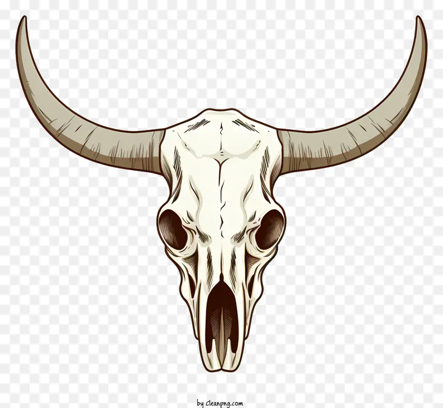 Bull Crâne，Symbole PNG