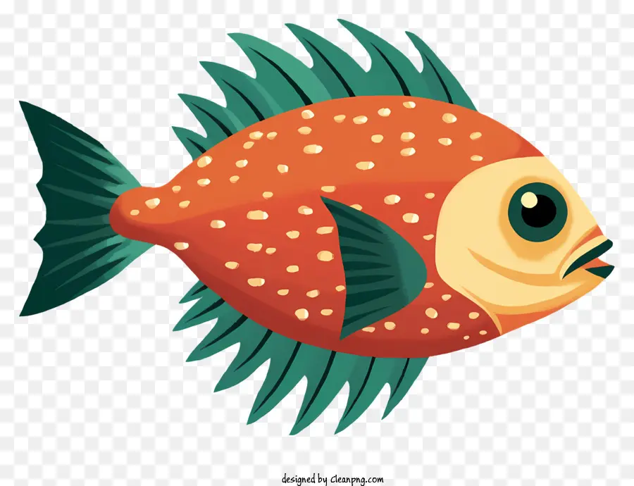 Dessin Animé De Poissons，Poisson Aux Yeux Ronds PNG