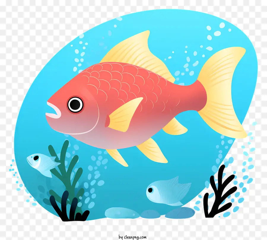 Poisson，Poisson Coloré PNG