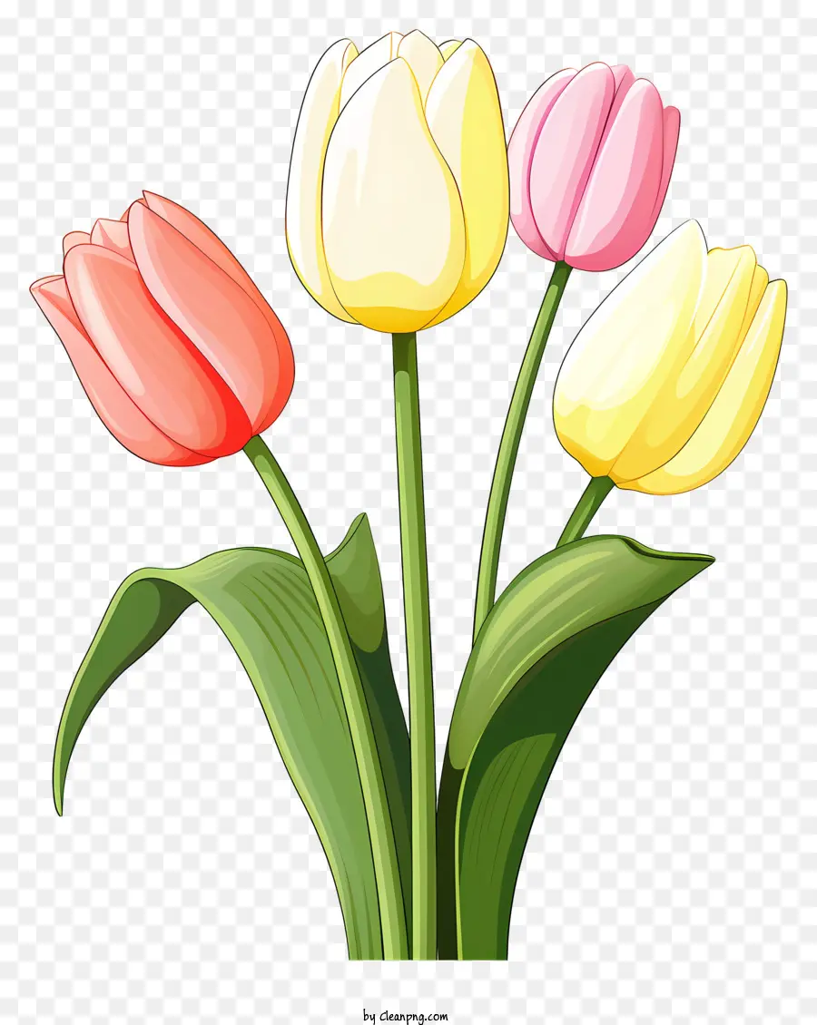 Tulipes Colorées，Tulipes Dans Un Vase PNG
