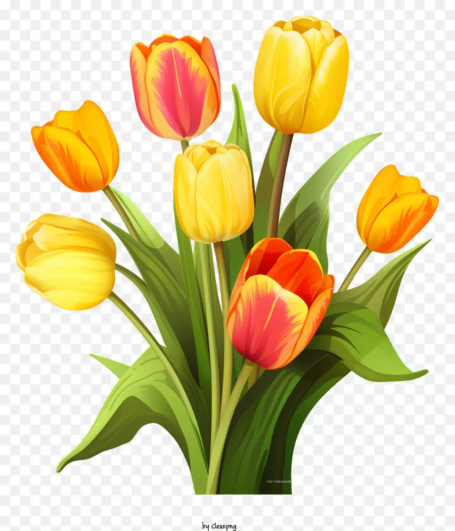 Vase De Tulipes，Fleurs Aux Couleurs Vives PNG