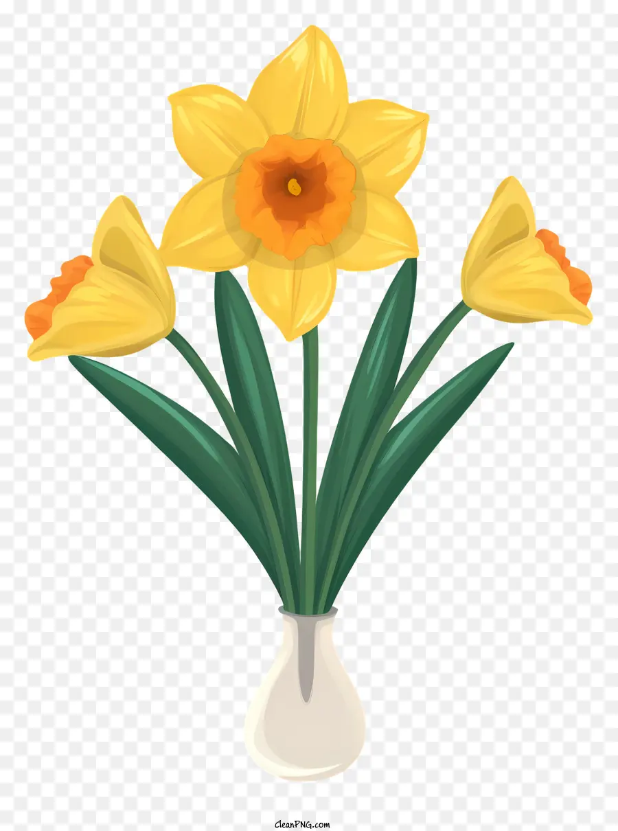 Vase，Jonquilles PNG