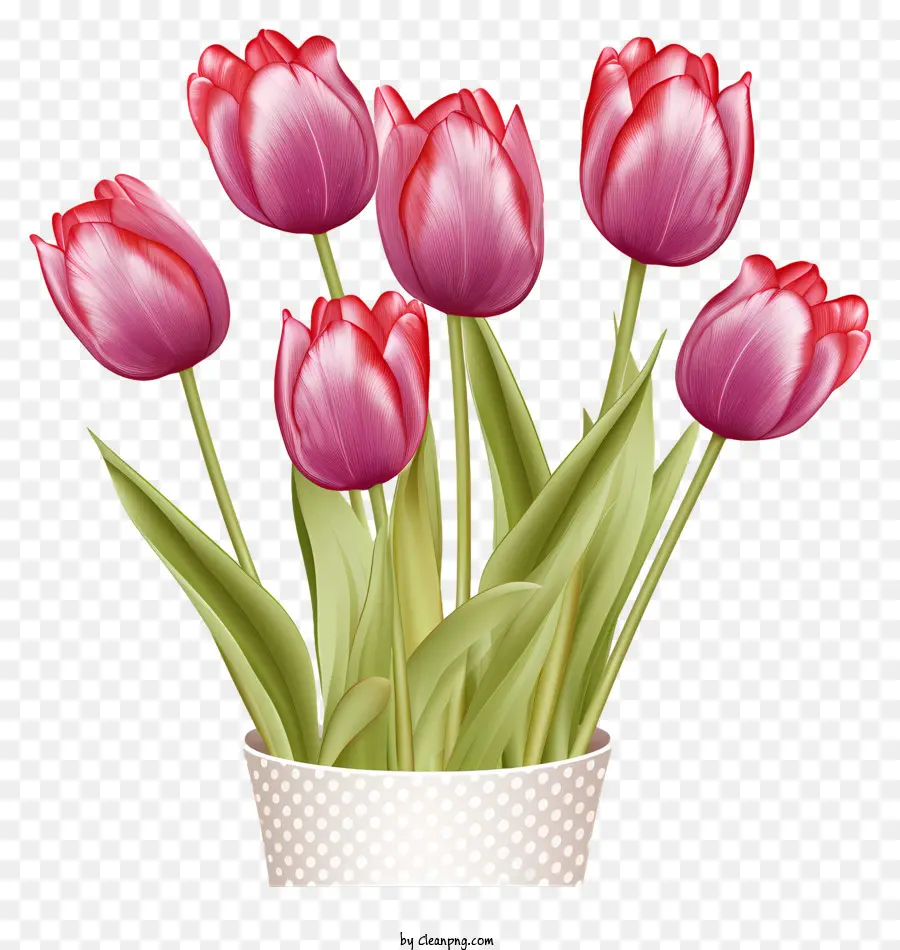 Vase，Tulipes Roses En Pot PNG