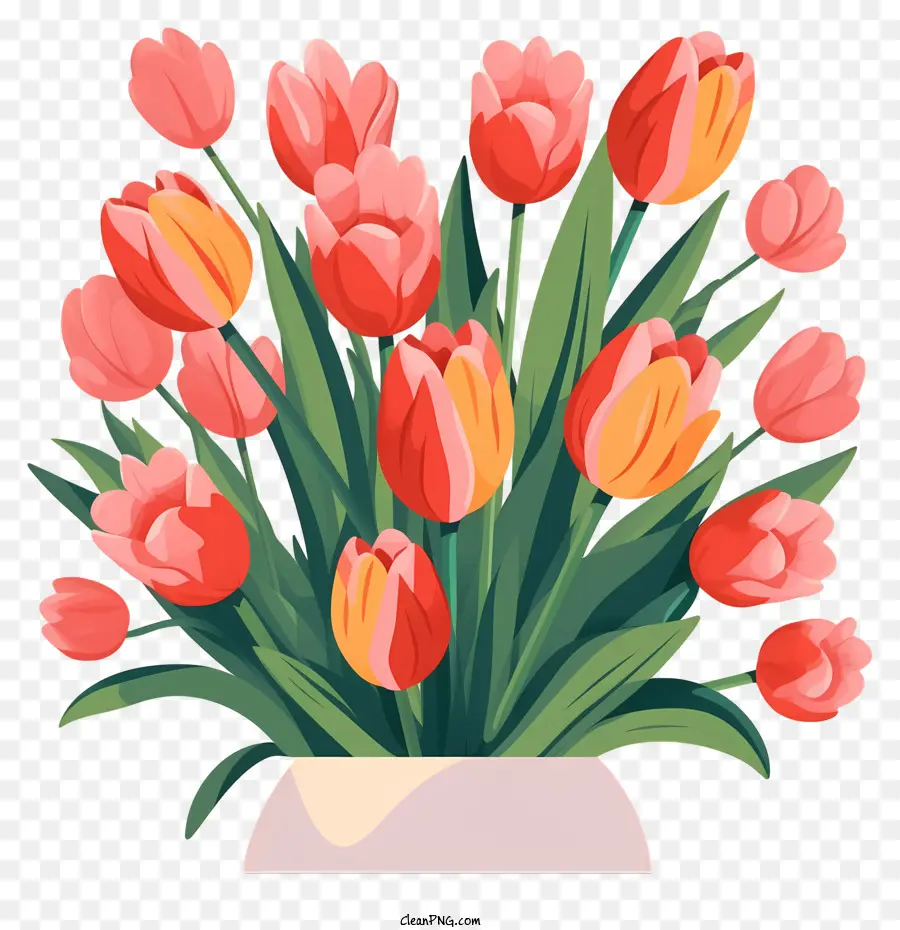 Vase，Tulipes PNG