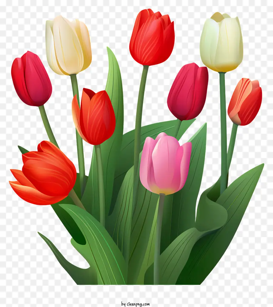 Tulipes，Printemps PNG