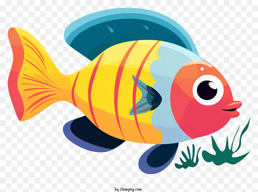 Poisson Coloré，Poisson PNG