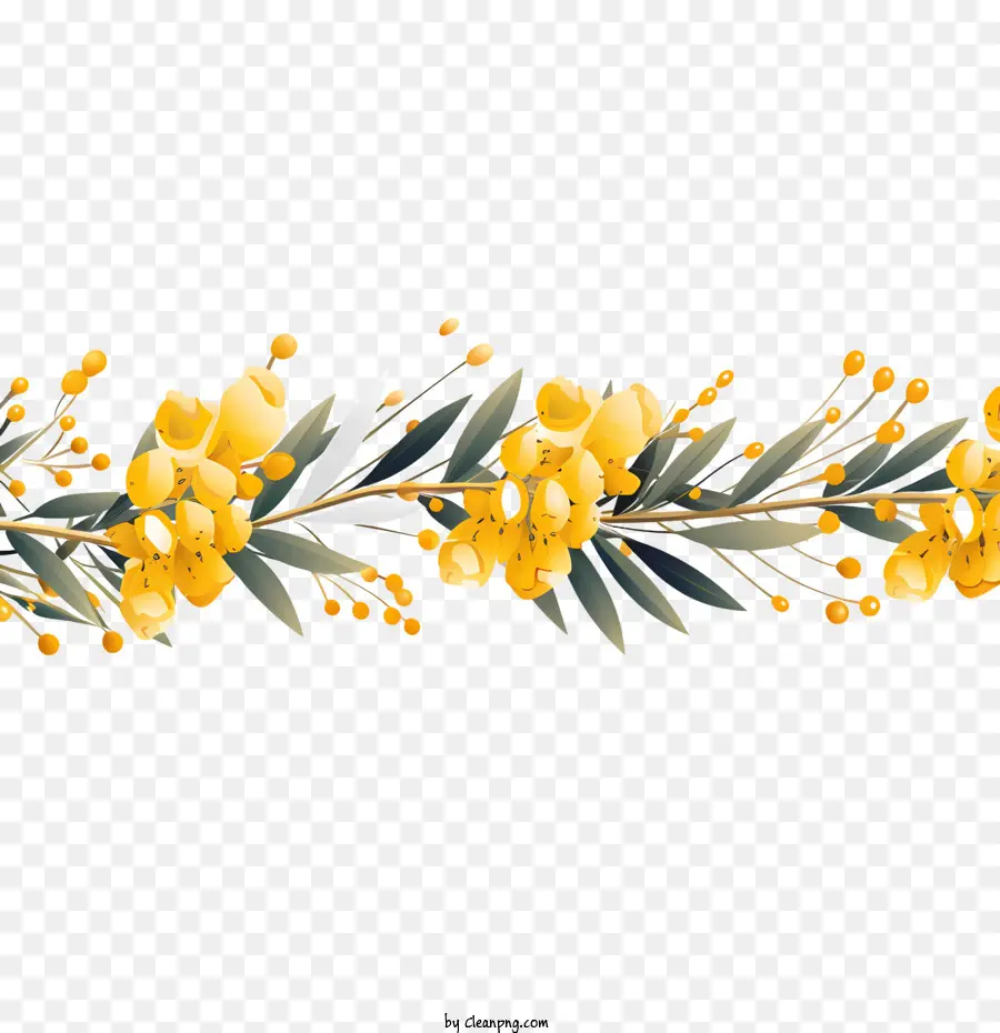 Acacia Doré，Fleurs Jaunes PNG