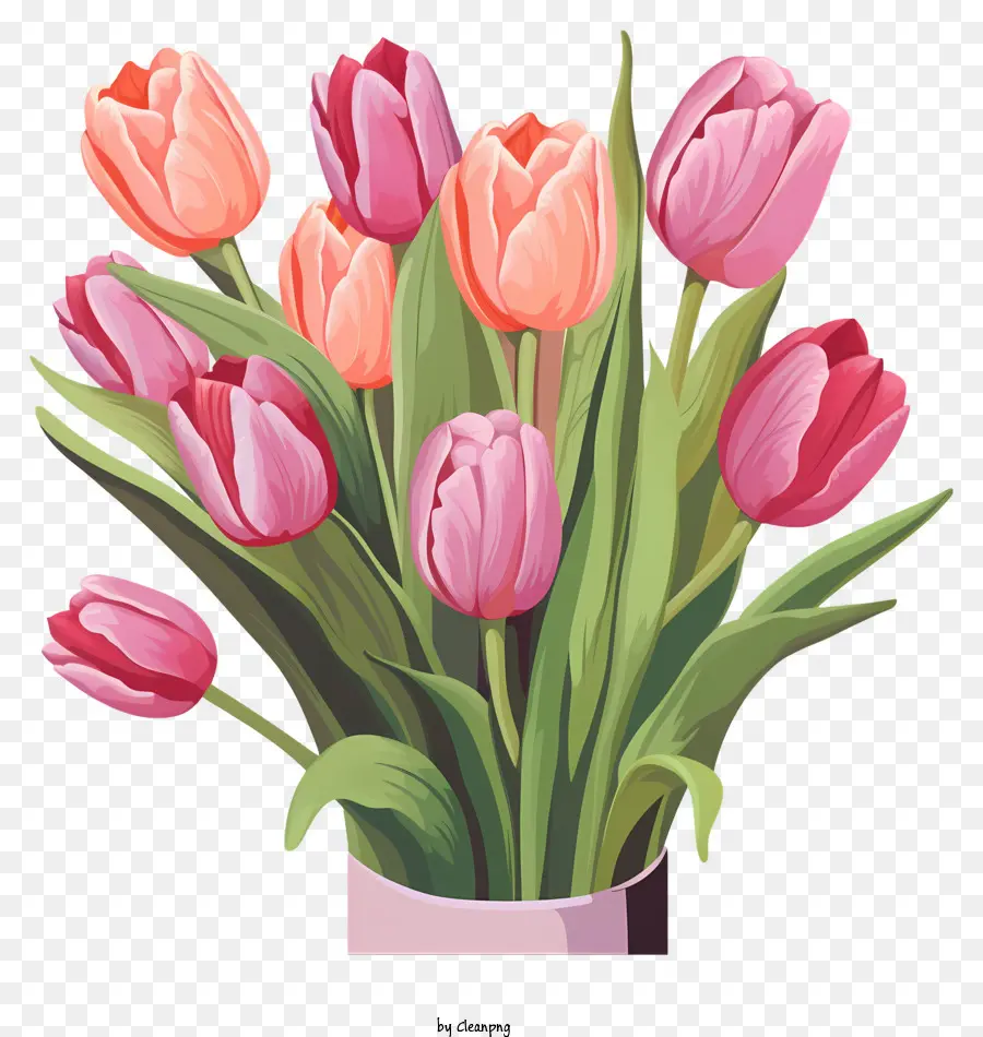 Tulipes，Tulipes Rouges PNG