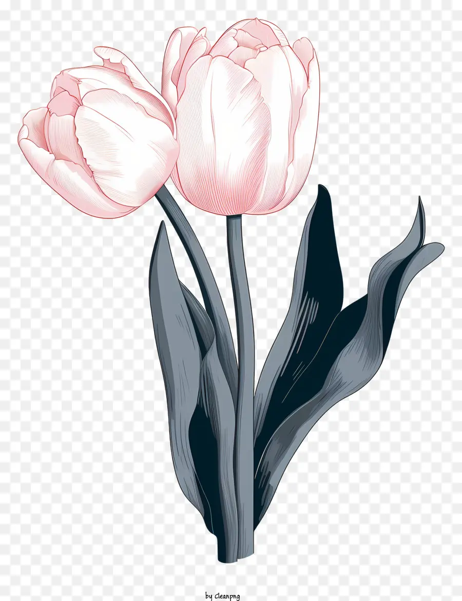 Tulipes Roses，Bouquet PNG