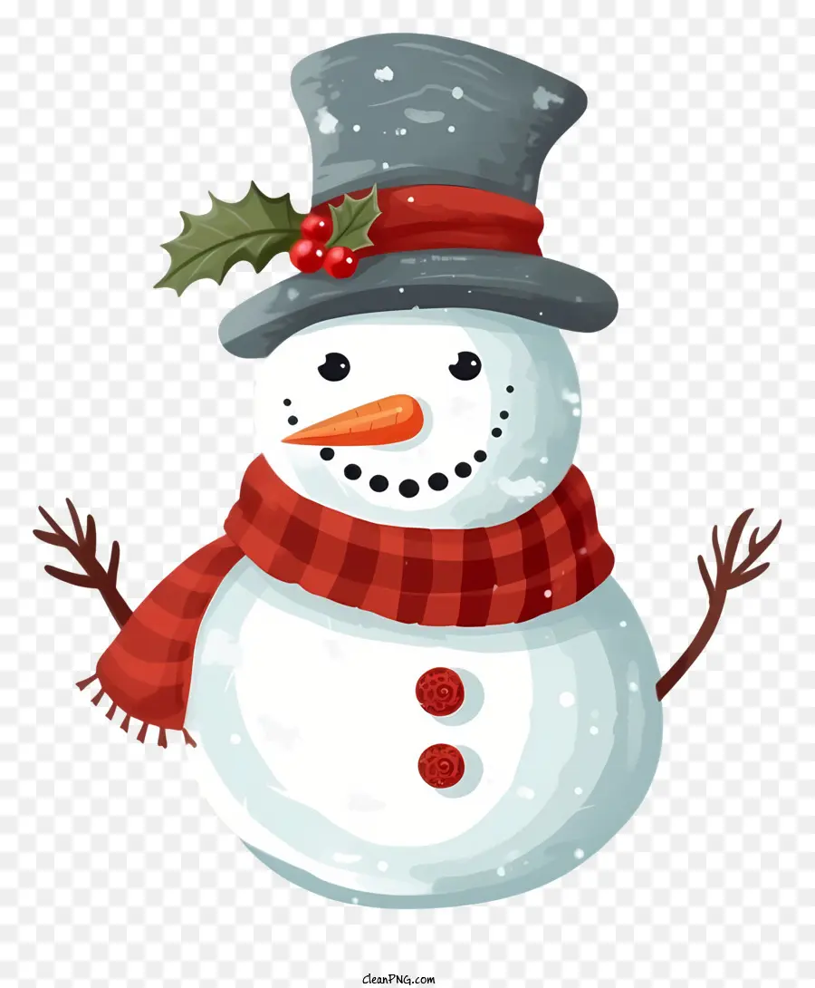 Bonhomme De Neige，Hiver PNG